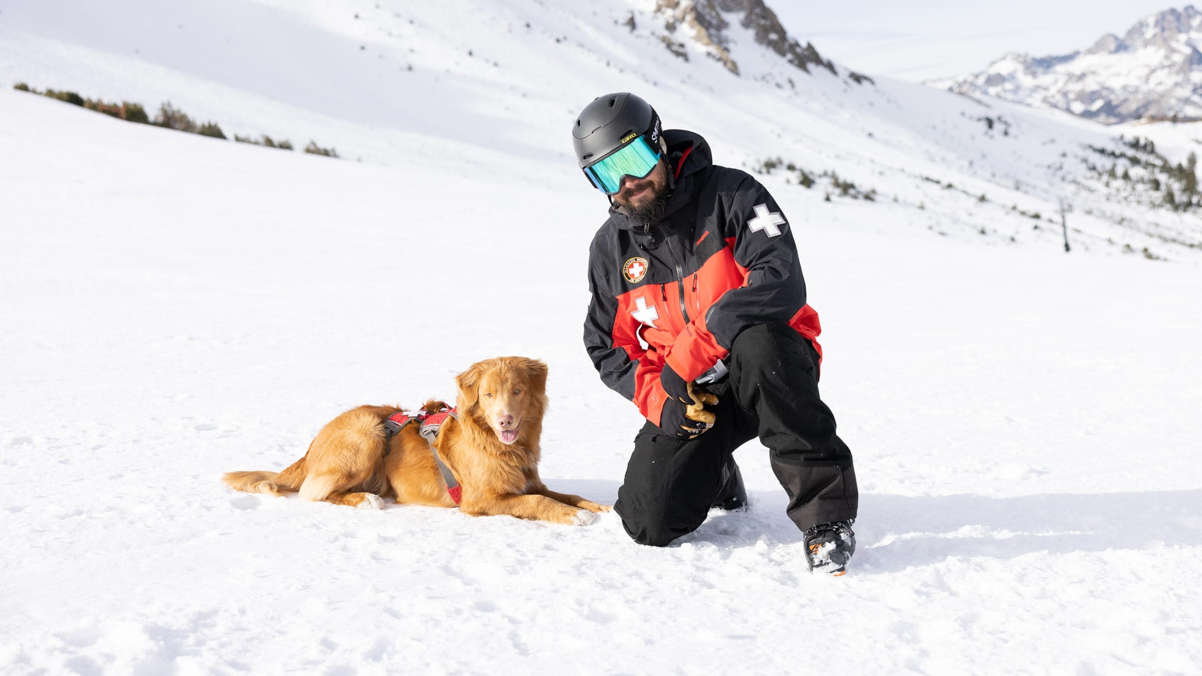 Avalanche Dog Ritter