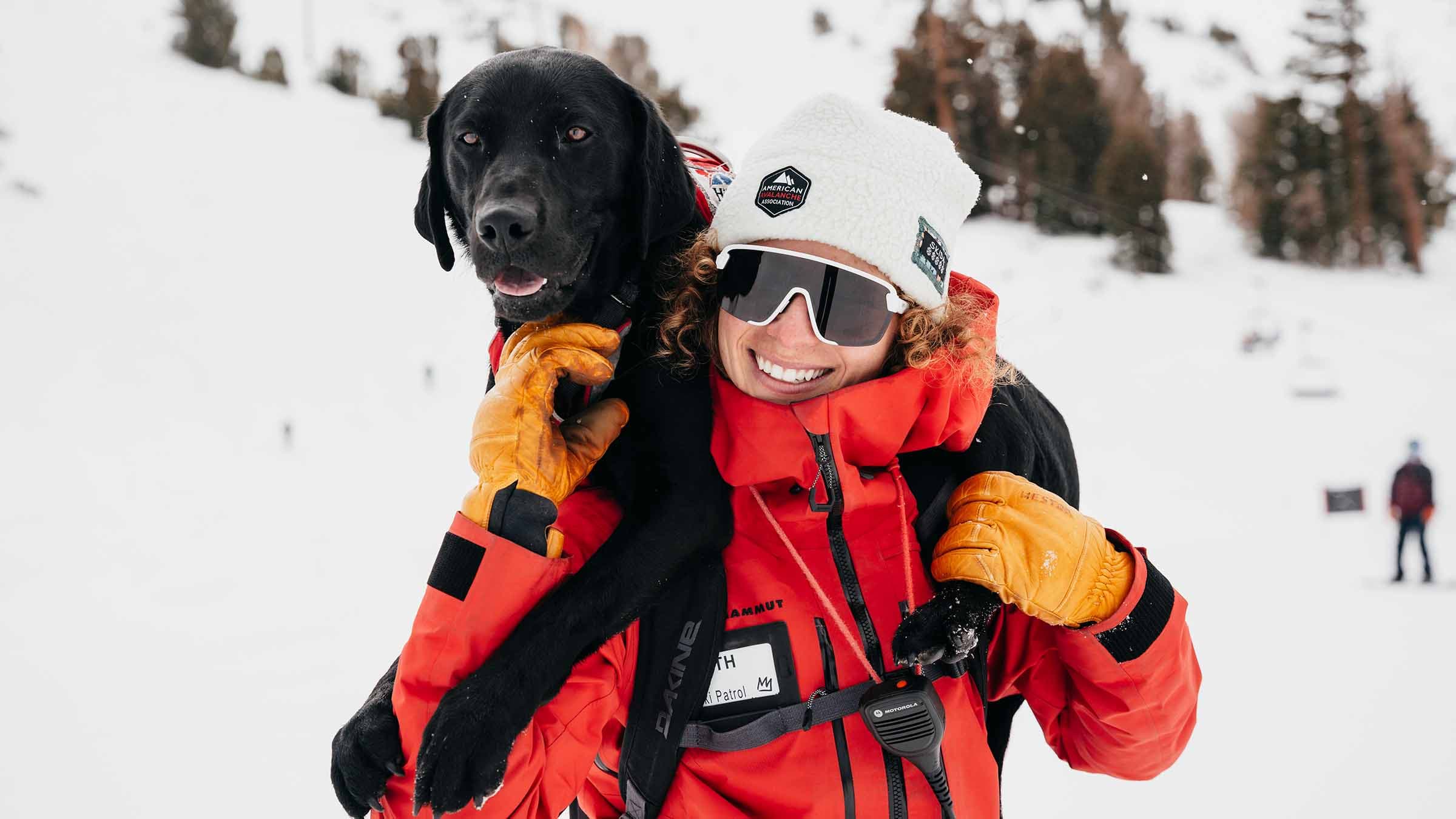 Avalanche Dog Bodie