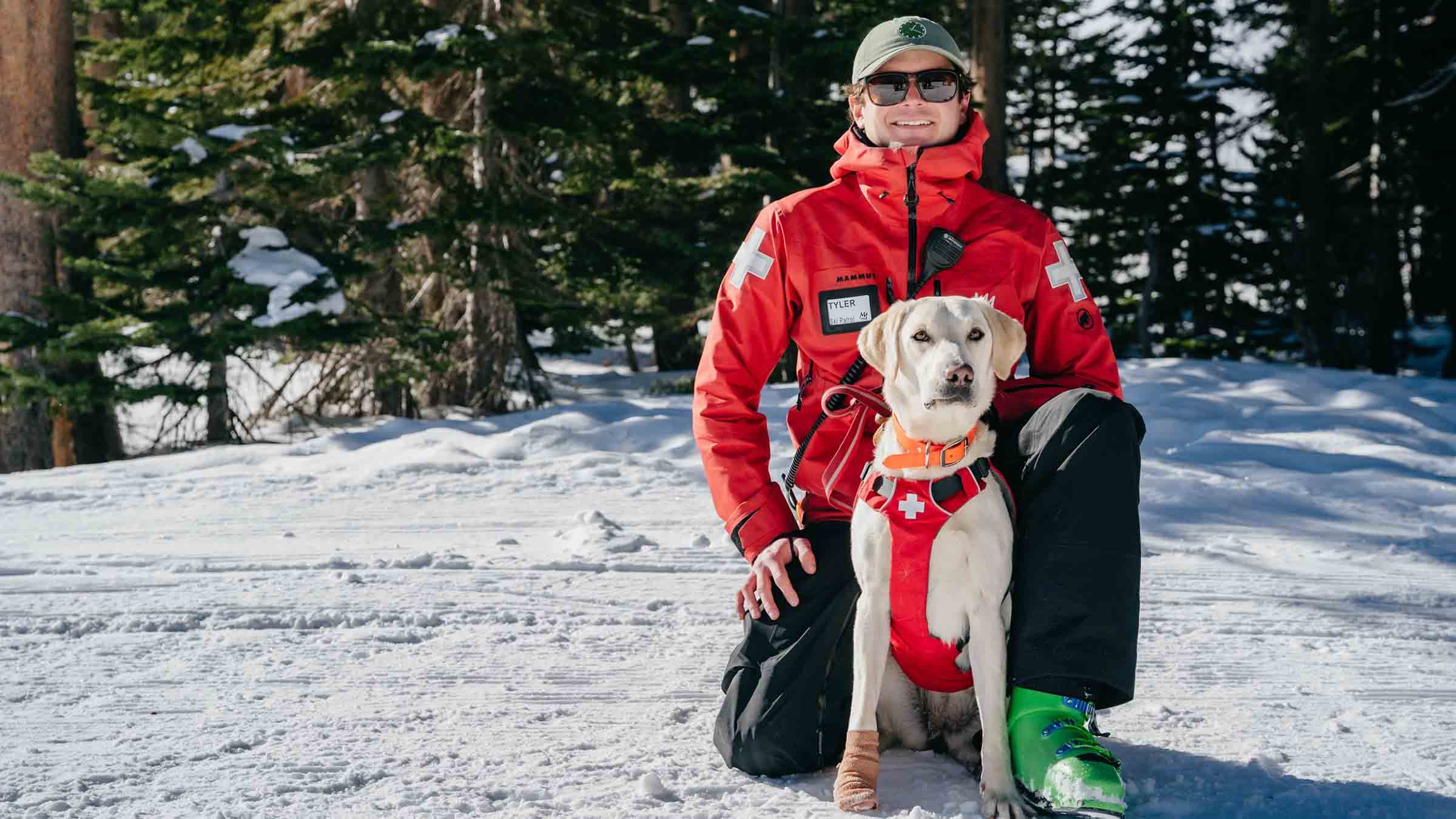 Avalanche Dog Mojo